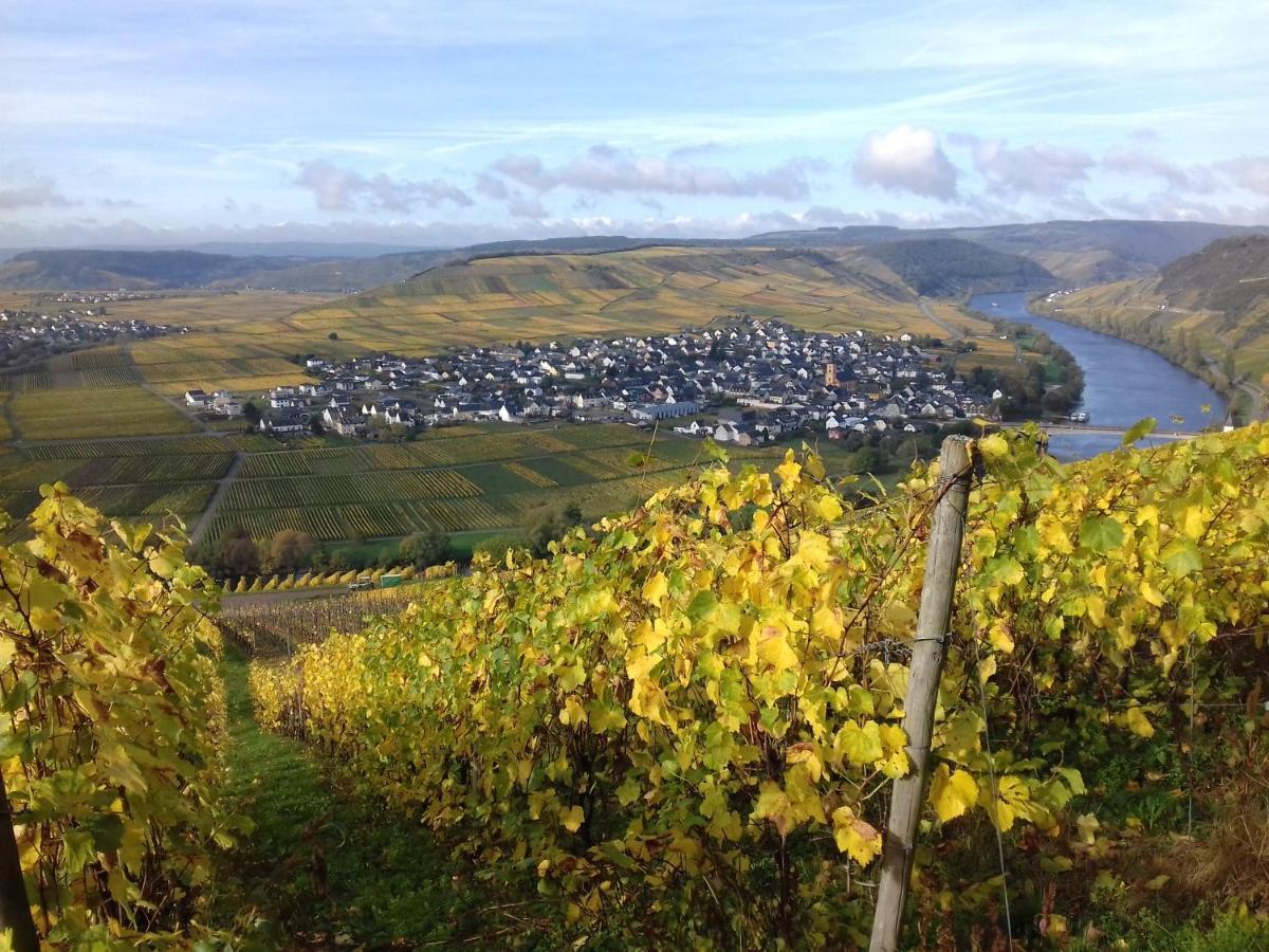 Ferienwohnung Bergblick Trittenheim Esterno foto