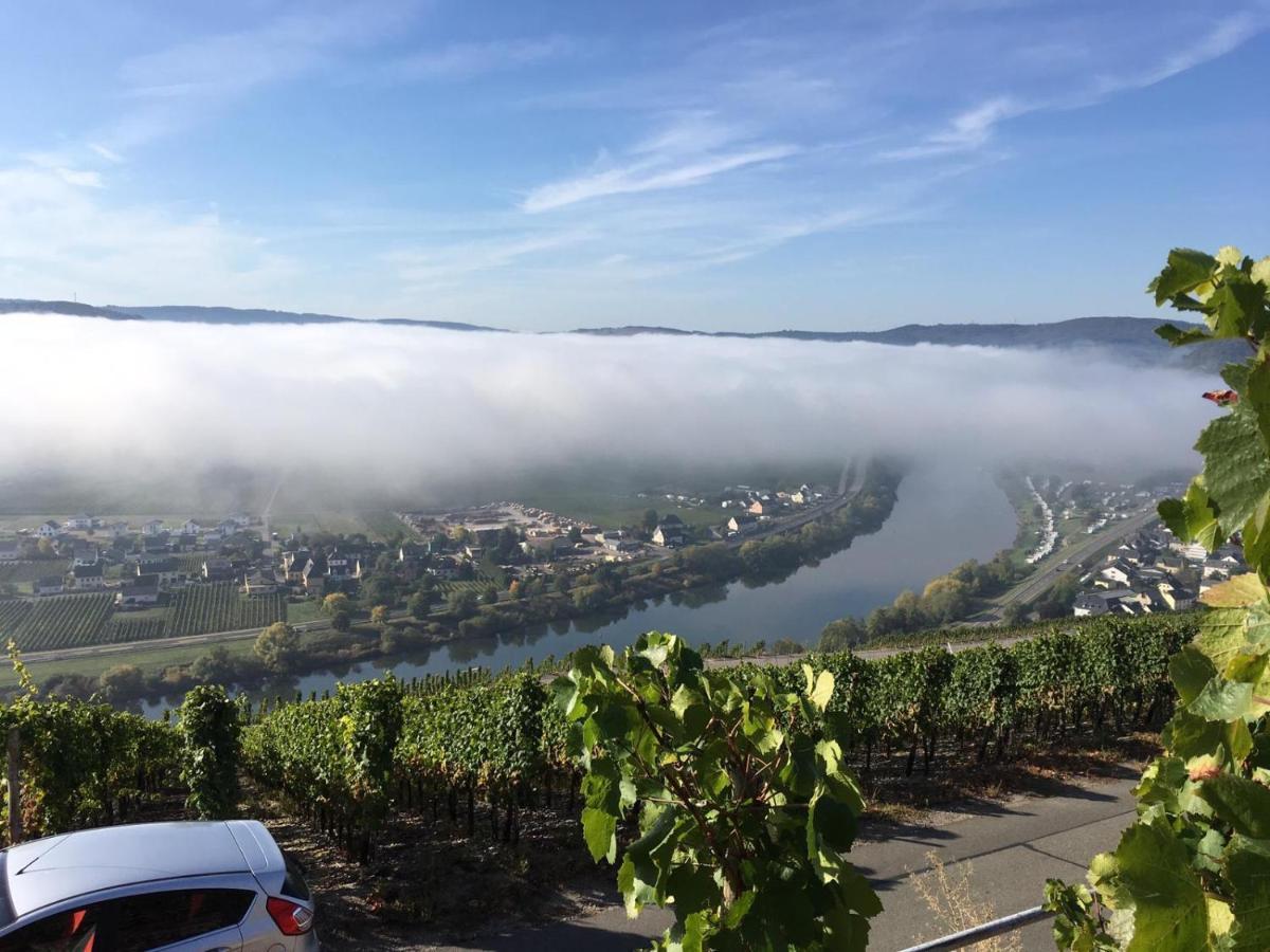 Ferienwohnung Bergblick Trittenheim Esterno foto