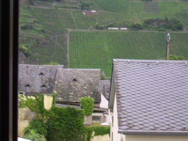 Ferienwohnung Bergblick Trittenheim Esterno foto