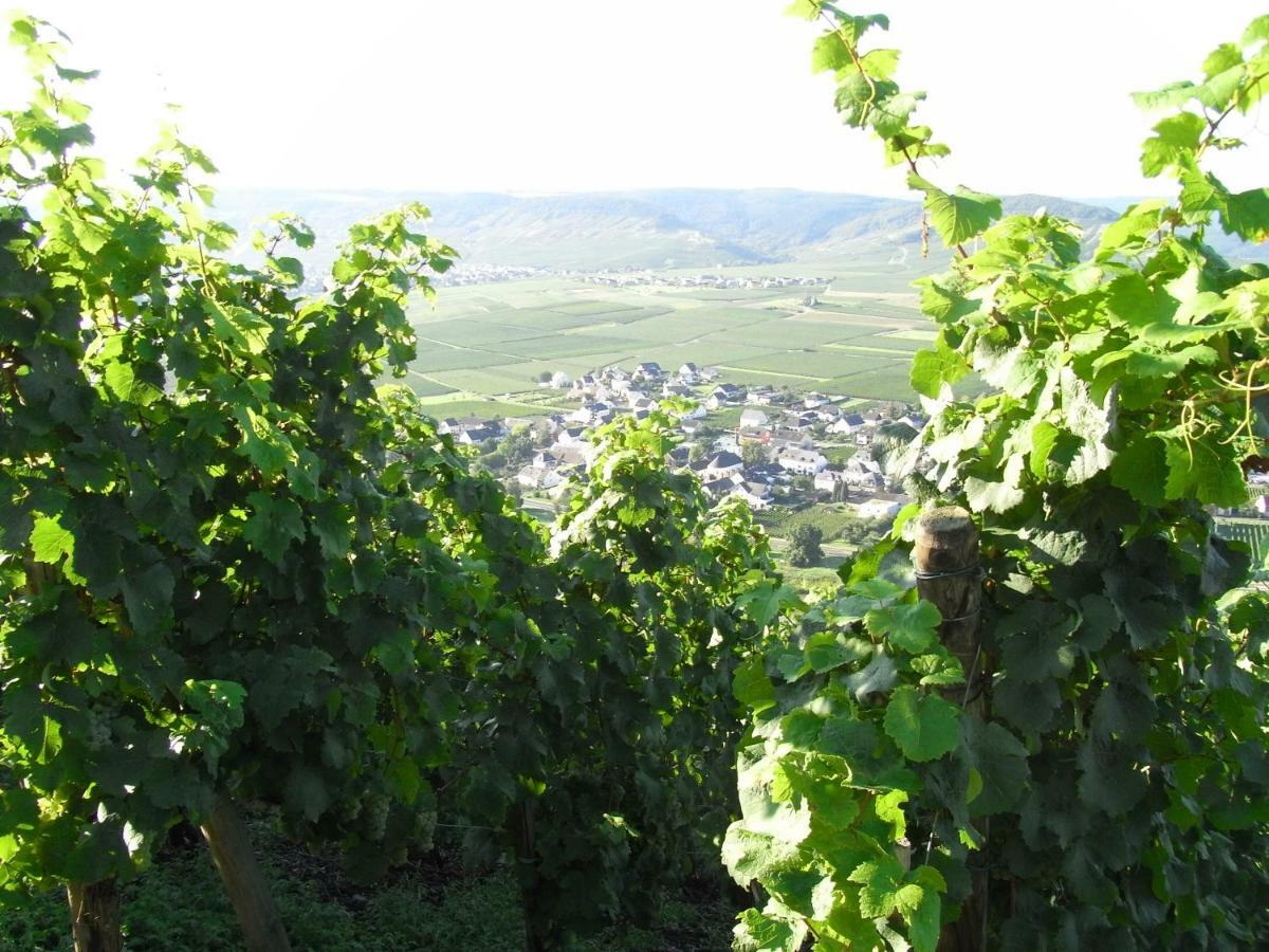 Ferienwohnung Bergblick Trittenheim Esterno foto