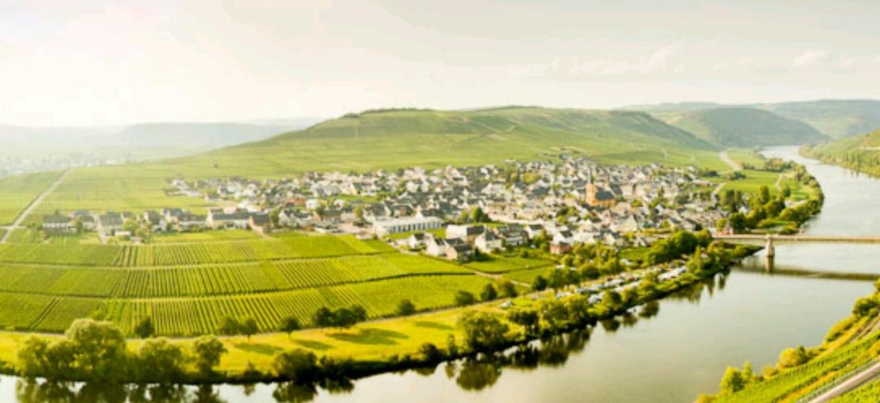 Ferienwohnung Bergblick Trittenheim Esterno foto